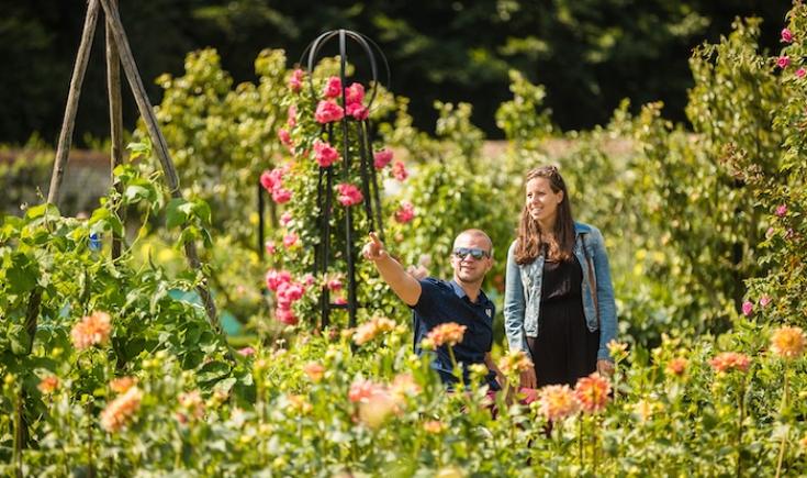 Dag van de Museumtuin Gaasbeek op zondag 14 september